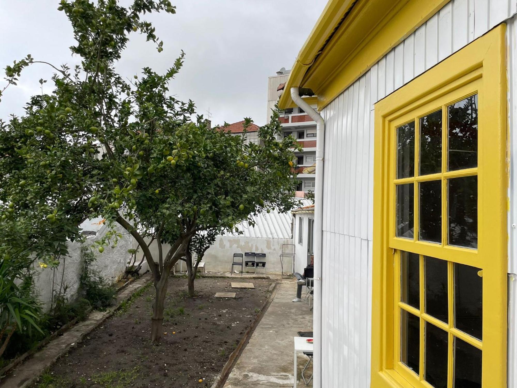פורטו Owls Hostel Ildefonso מראה חיצוני תמונה